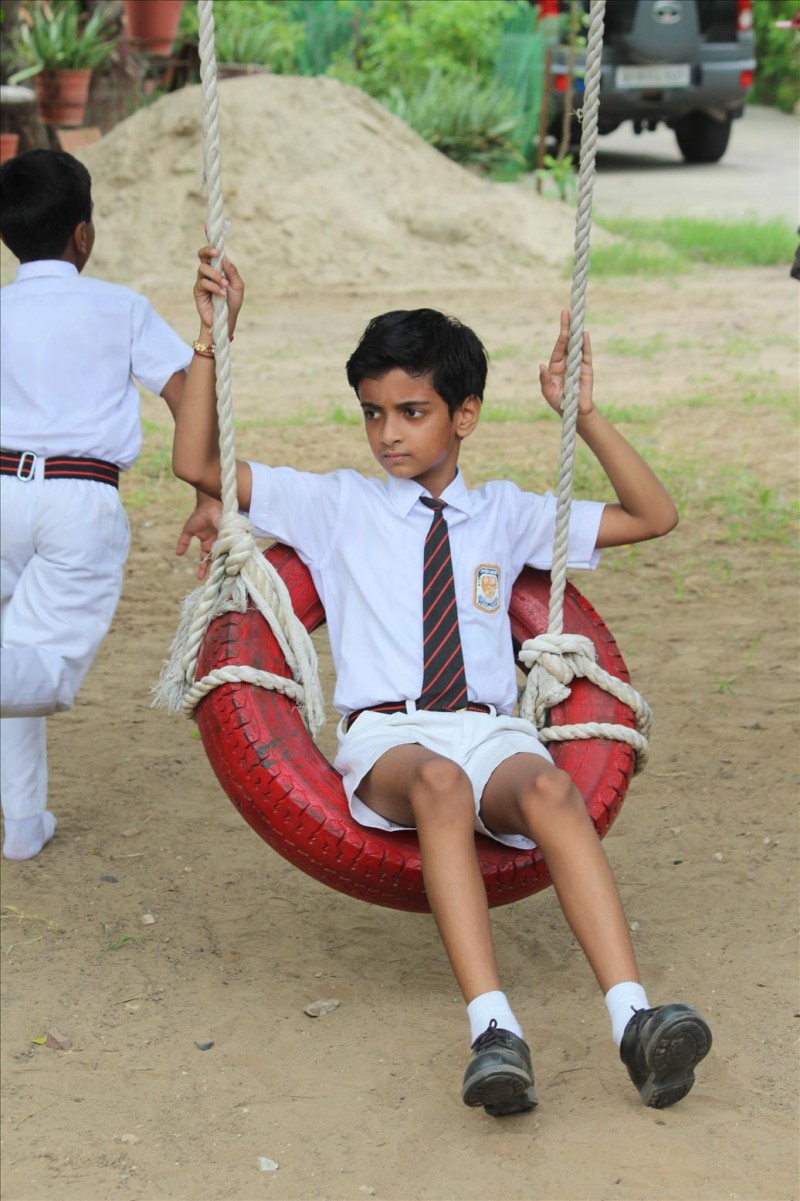 Tyre Swings